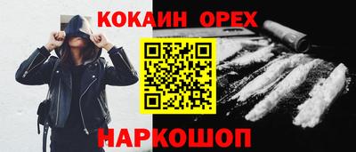 гидра Брянск