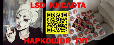 гидра Брянск