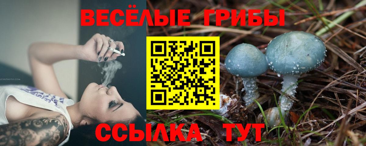 Псилоцибиновые грибы мицелий Самара